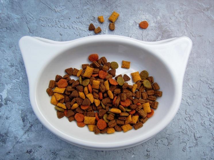 Pet Food: Health and Joy